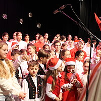 Proslava Nikolinja